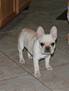 Description: Description: Description: Description: Description: Description: tn_IMG_0535a