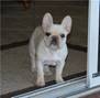 Description: Description: Description: Description: Description: Description: tn_IMG_0538a